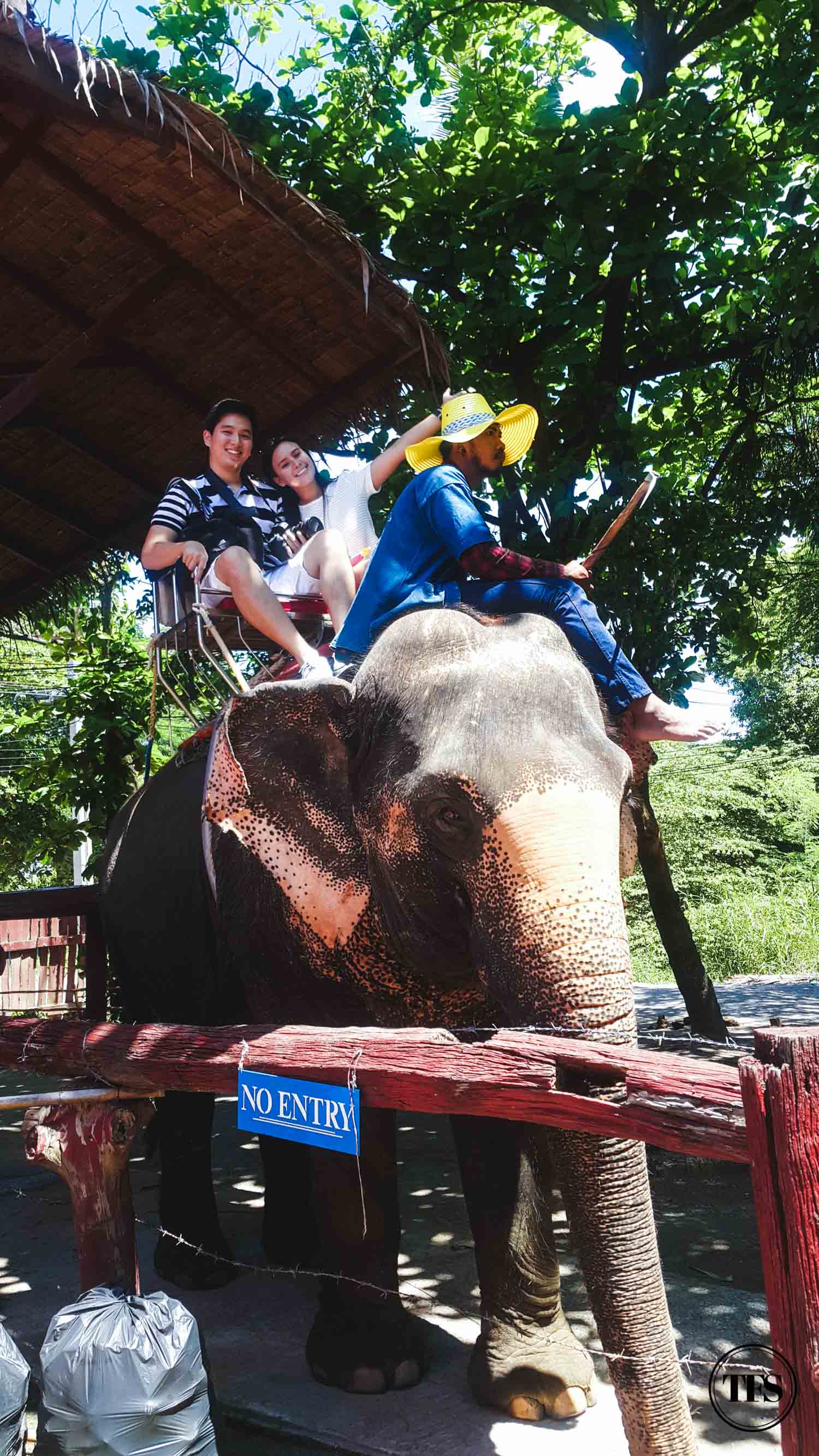 elephant village thailand 