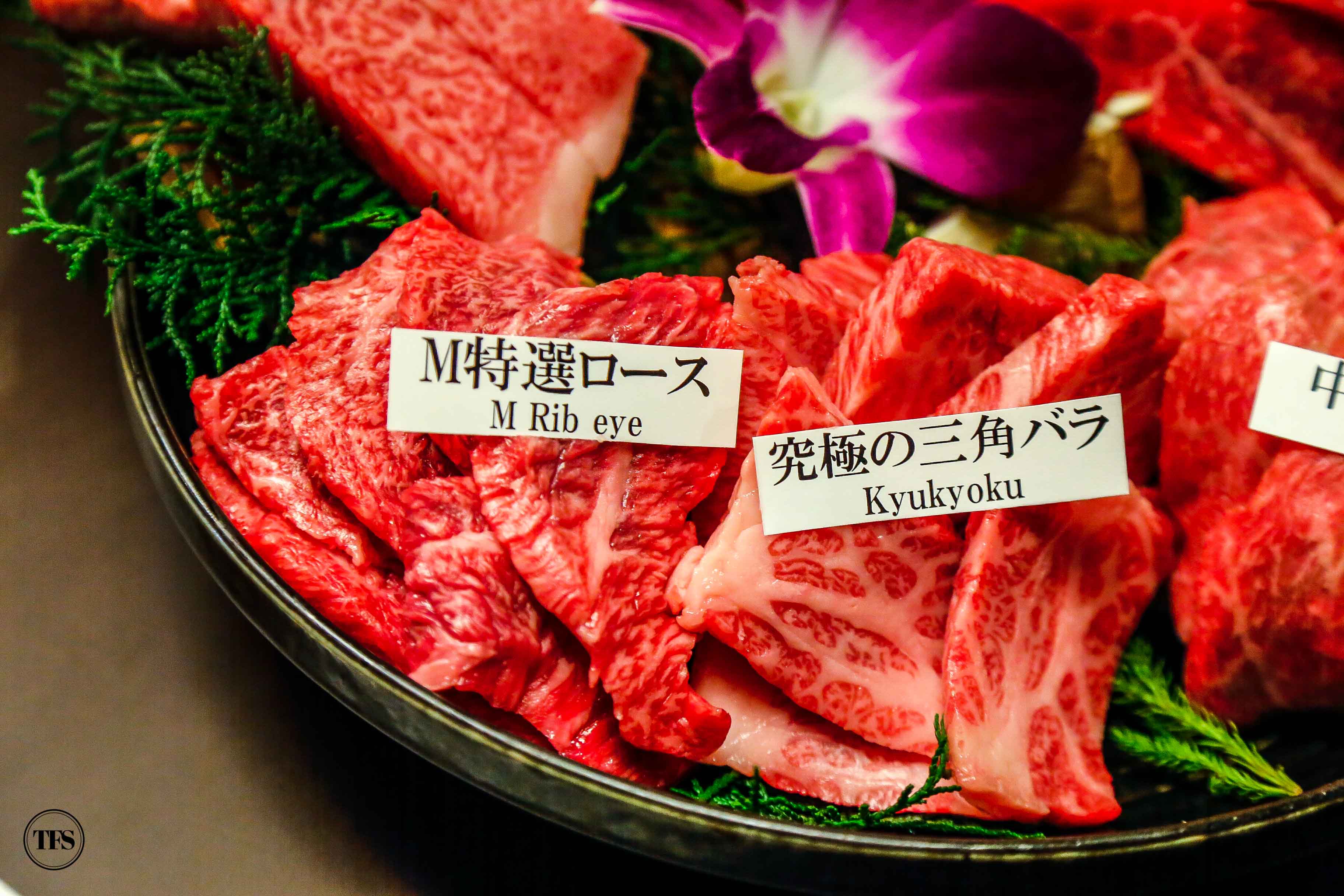 Matsusakagyu Yakiniku M matsusaka beef