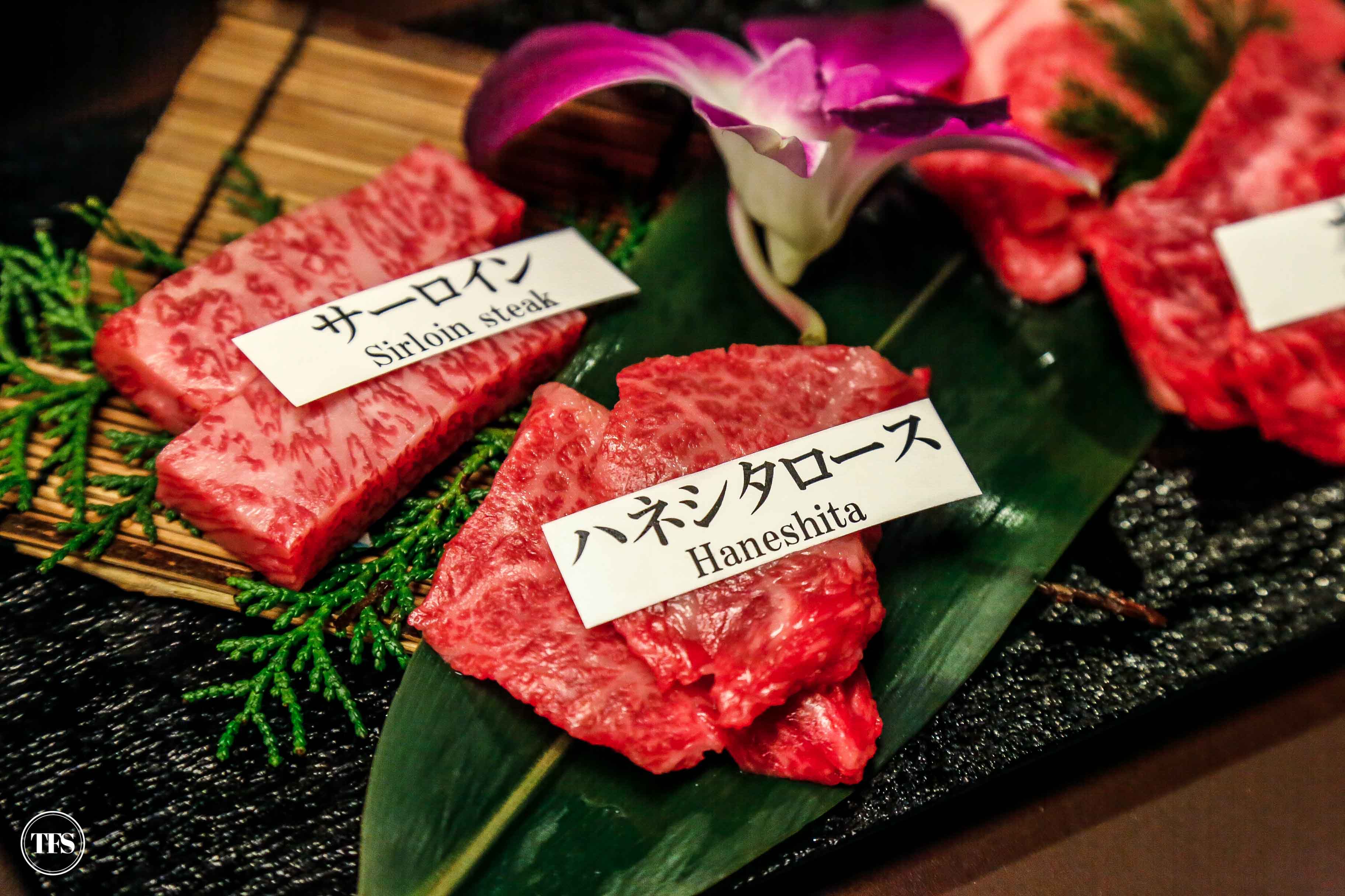 Matsusakagyu Yakiniku M